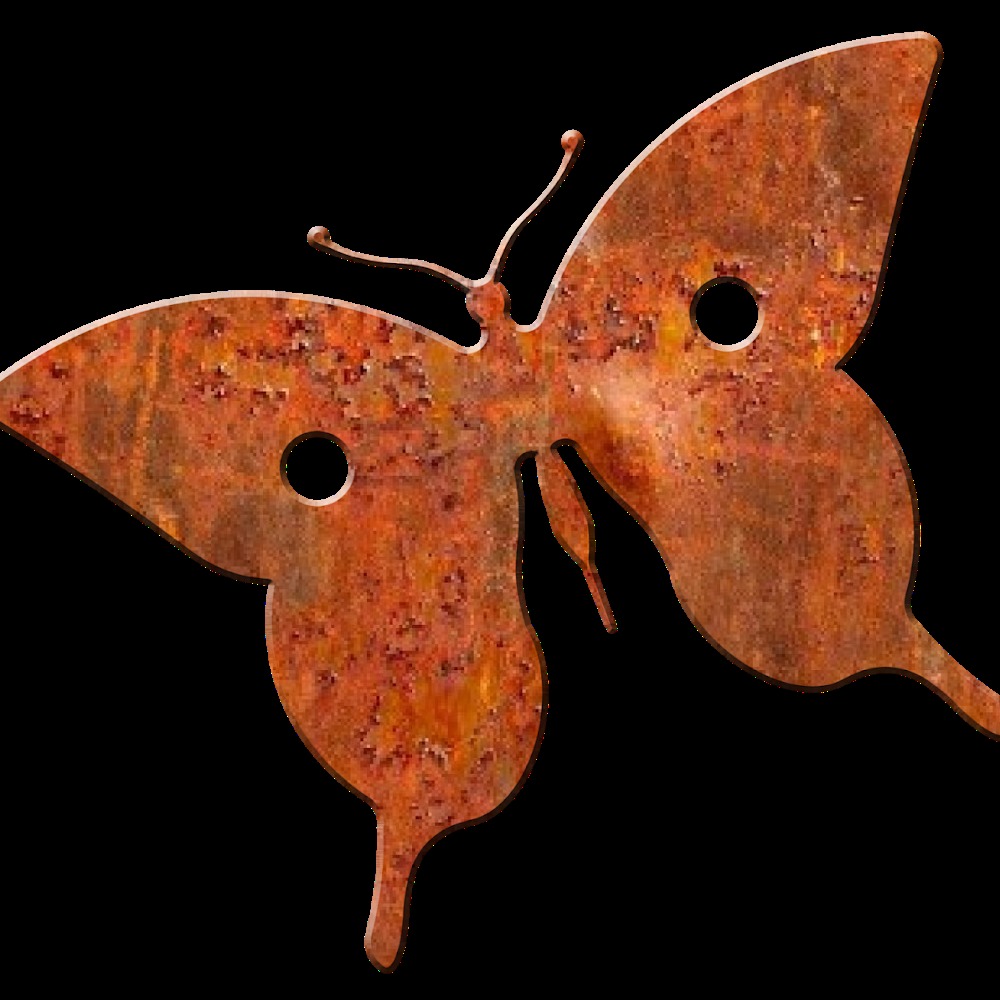 Meet your Posher, Ariana